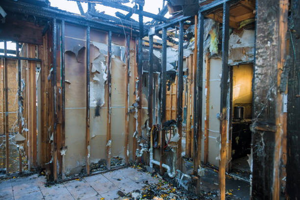 Professional Smoke Damage Removal technician working in St. Maries, ID